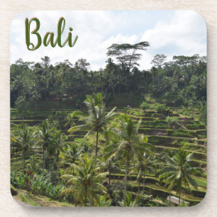Bali Ubud Reisfelder Getränkeuntersetzer