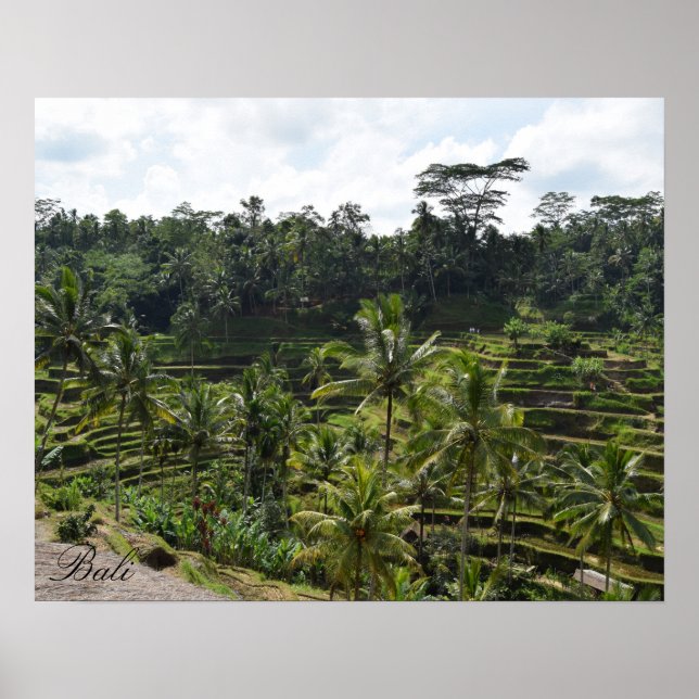 Bali Ubud Rice Terrace Poster (Vorne)