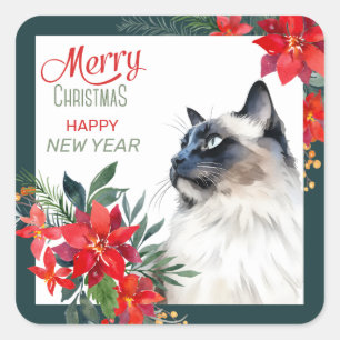 Balinese Cat Poinsettia - Grenze Weihnachten Quadratischer Aufkleber