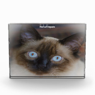 Balinesische Katze Fotoblock