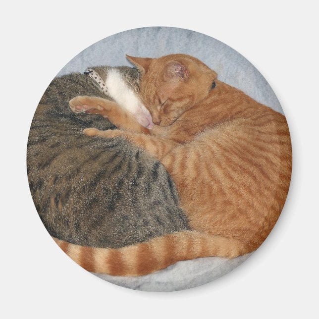 Ball of Cuteness Magnet (Vorne)