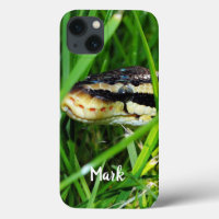 Ball Python Schlange im Gras