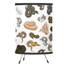 Ball Python Snake Morph Pattern