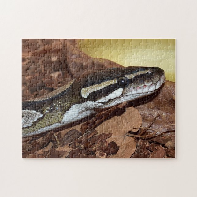 Ball Python Snake Puzzle (Horizontal)
