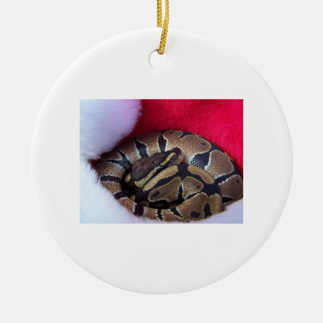 Ball-Pythonschlange-Schlange im Keramikornament (Vorne)