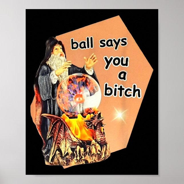 Ball Says You A Btch Meme  Poster (Vorne)