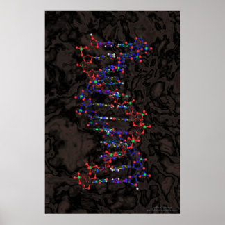 Ball und Stick gegen Granit Poster