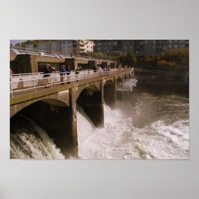 Ballard Locks - Seattle, WA Poster (Vorne)