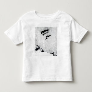 Balleny Inseln, nahe der Antarktis Kleinkind T-shirt
