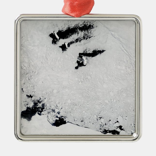 Balleny Islands in der Nähe der Antarktis Ornament Aus Metall (Vorne)