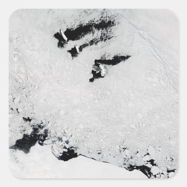 Balleny Islands in der Nähe der Antarktis Quadratischer Aufkleber (Vorderseite)