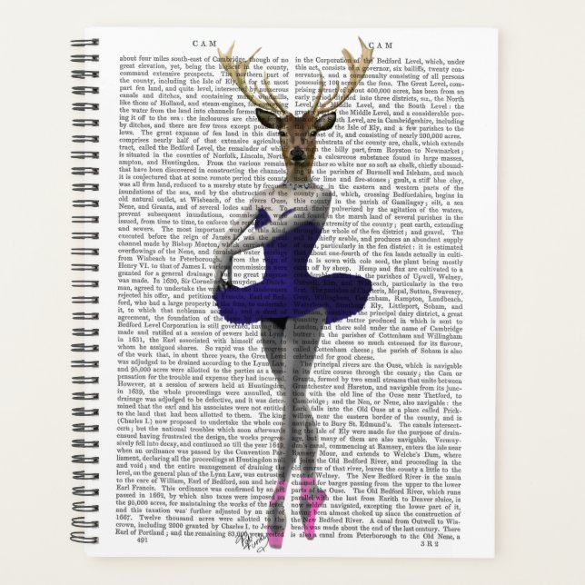 Ballerina Deer in Blue Planer (Vorderseite)