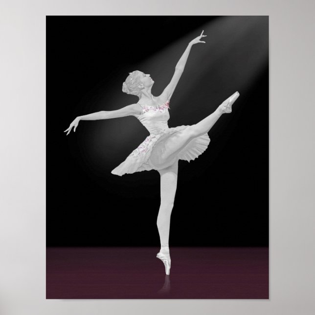 Ballerina in Silber und Schwarz Poster (Vorne)