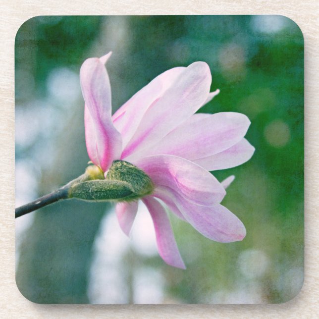 Ballerina Magnolia Getränkeuntersetzer (Vorderseite)