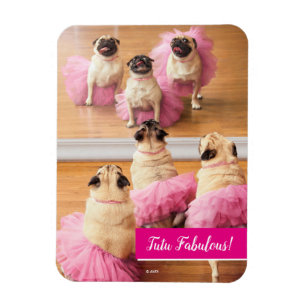 Ballerina-Mops in Tutus Magnet
