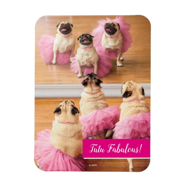 Ballerina-Mops in Tutus Magnet (Vertikal)