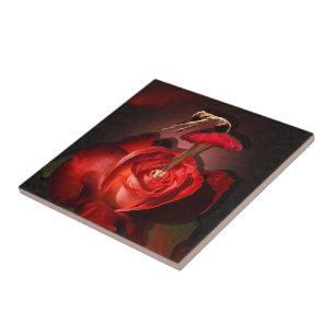 Ballerina Rose - Keramik Tile Fliese