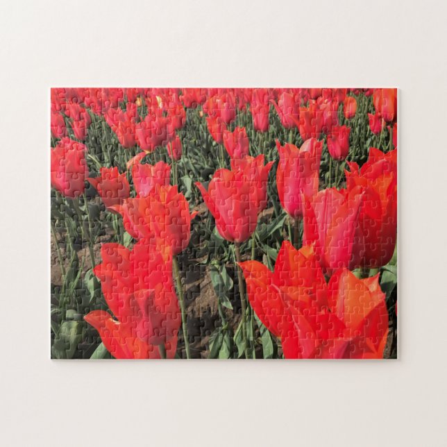 Ballerina Tulips, Oregon Puzzle (Horizontal)