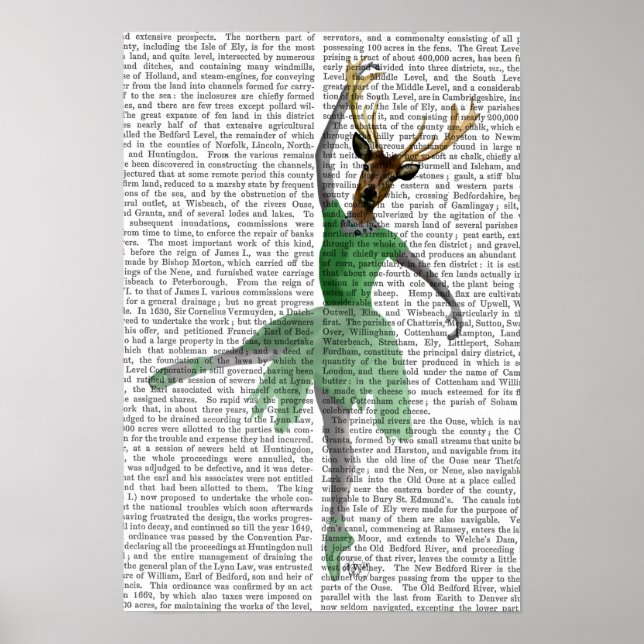Ballet Dealer in Green Poster (Vorne)