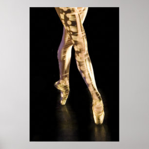 Ballet Poster-4204 Poster