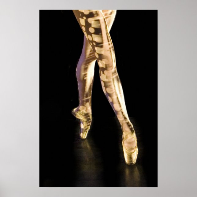 Ballet Poster-4204 Poster (Vorne)