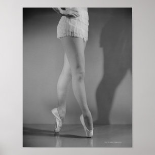 Balletttänzer Poster