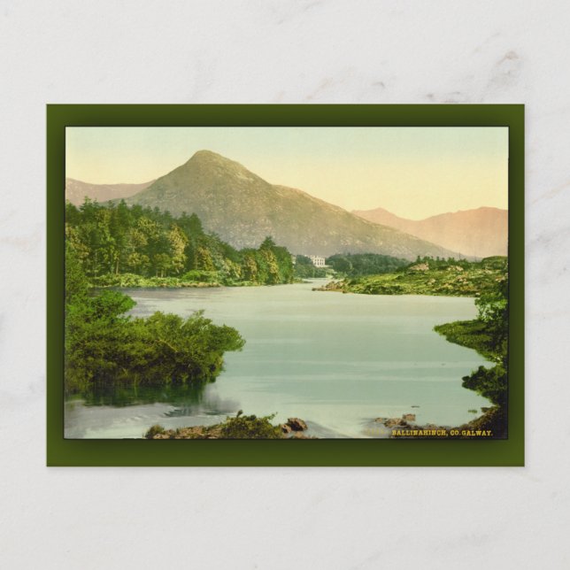Ballinahinch. Landkreis Galway, Irland Postkarte (Vorderseite)