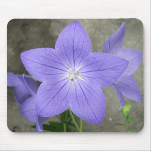Ballon-Blume Mousepad