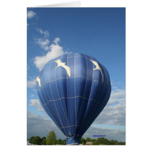 Ballon! Möwen fliegen