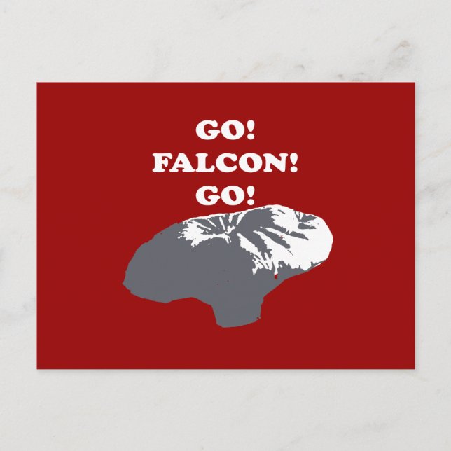 Balloon Boy - Go Falcon Go Postkarte (Vorderseite)