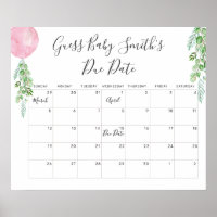 Balloon Eucalyptus Guess Baby Due Date Calendar Ka