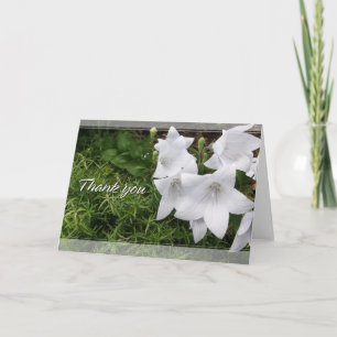 Balloon Flower (Chinese Bellflower) Thank You Card Dankeskarte