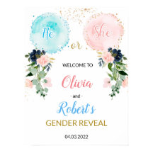 Balloons Gender Reveal Welcome Poster