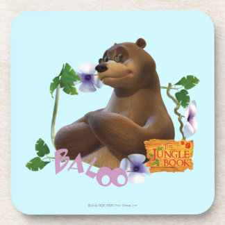 Baloo 2 untersetzer