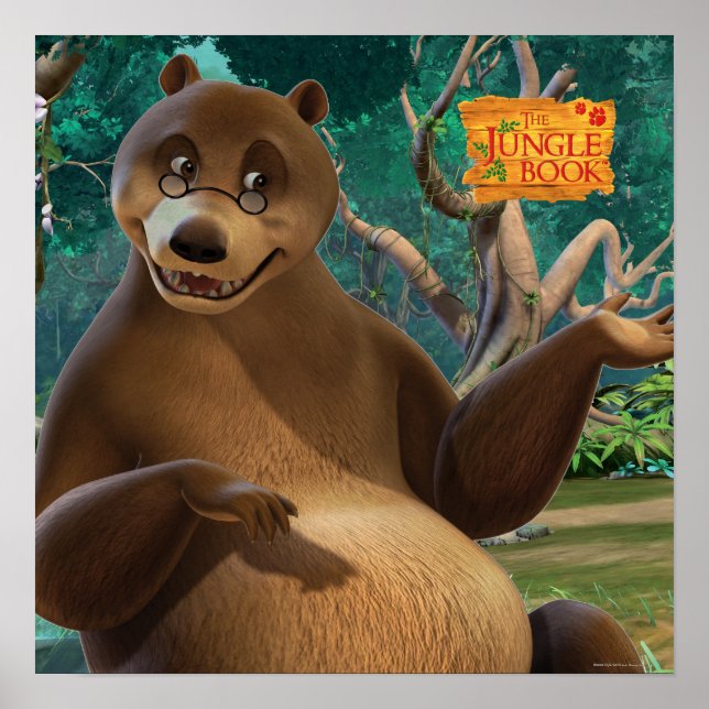 Baloo 4 2 poster (Vorne)