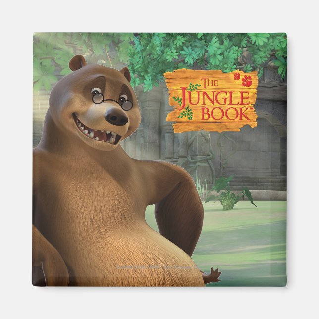 Baloo 5 magnet (Vorne)