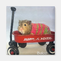 Baloo in seinem Roten Wagen