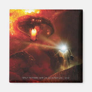 Balrog Versus Gandalf™ Magnet