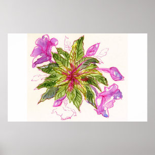 Balsam Bouquet Poster