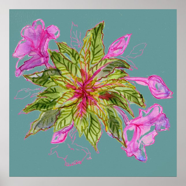 Balsam Bouquet Poster (Vorne)