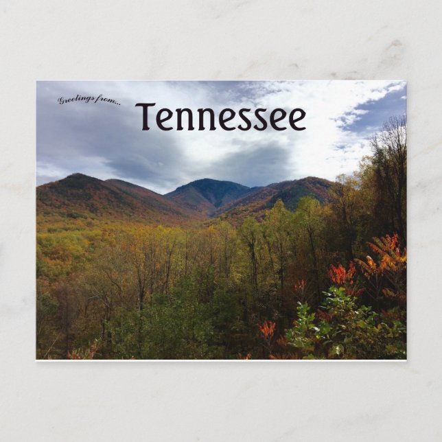 Balsam Point Sevier Landkreis Tennessee Postkarte (Vorderseite)