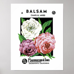 Balsam Seed Packet Label Poster
