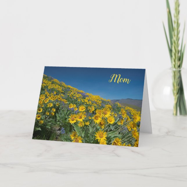 Balsamroot bloom Muttertag Karte (Vorderseite)