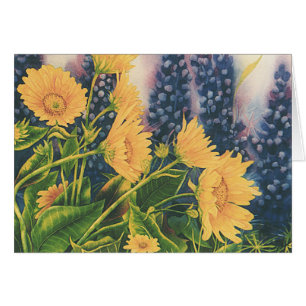 Balsamwurzel und Lupine