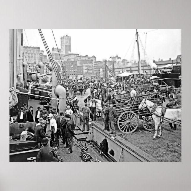 Baltimore Banana Boote Poster (Vorne)