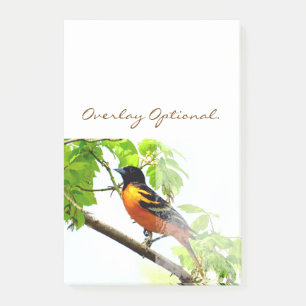 Baltimore Oriole 1 Post-it Klebezettel
