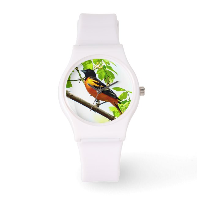 Baltimore Oriole 1 - Watch & Numerary Optionen Armbanduhr (Vorderseite)