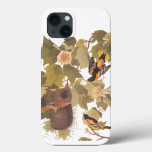 Baltimore Oriole Audubon Bird Familie mit Nest Case-Mate iPhone Hülle