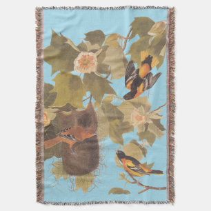 Baltimore Oriole Audubon Bird Familie mit Nest Decke