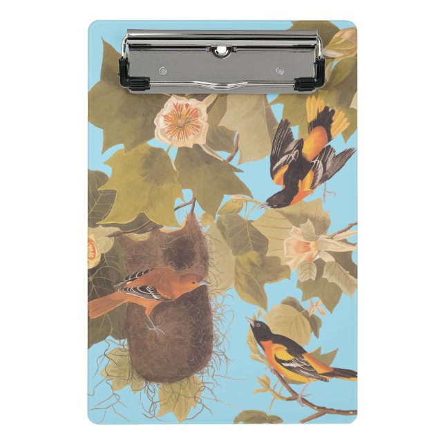Baltimore Oriole Audubon Bird Familie mit Nest Mini Klemmbrett (Vorderseite)